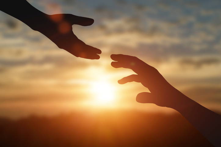 Maplecrest Vineyard Vision Adoption